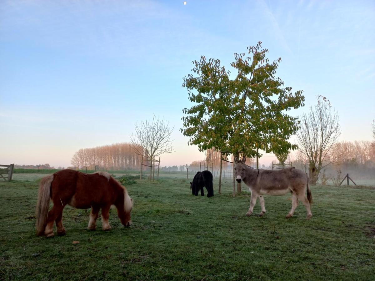 Op 'T Roth 12 Ruime Sfeervolle Vakantiewoning In 'T Groen Oudenaarde Exterior foto